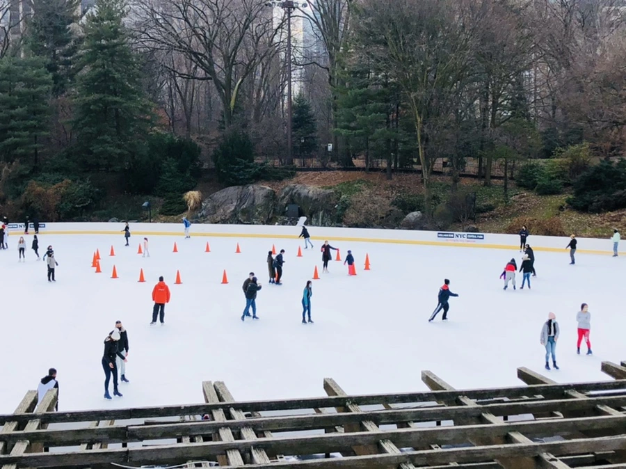 IMG_2433.jpg?type=w966