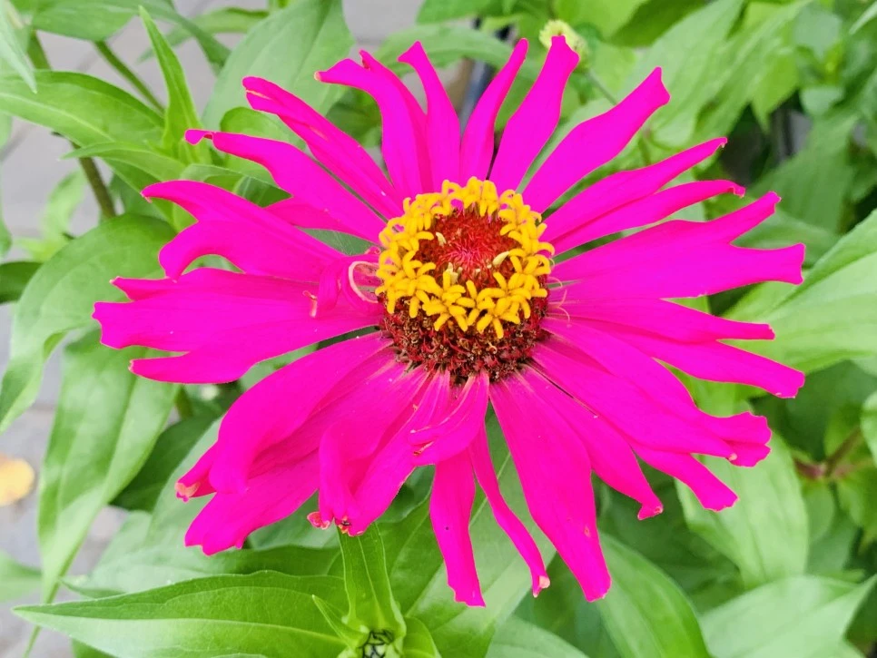 IMG_9366.jpg?type=w966