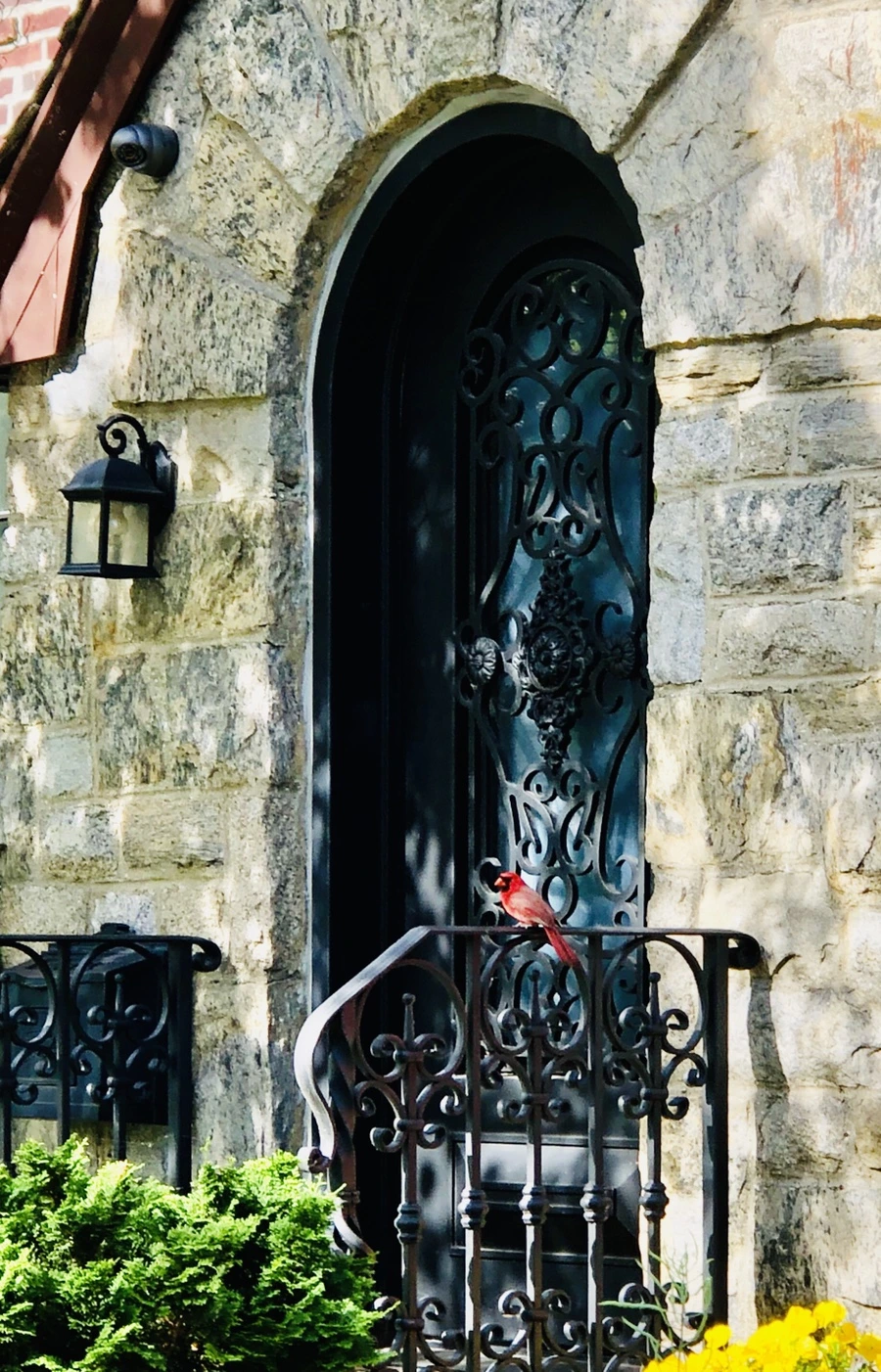 IMG_9353.jpg?type=w966