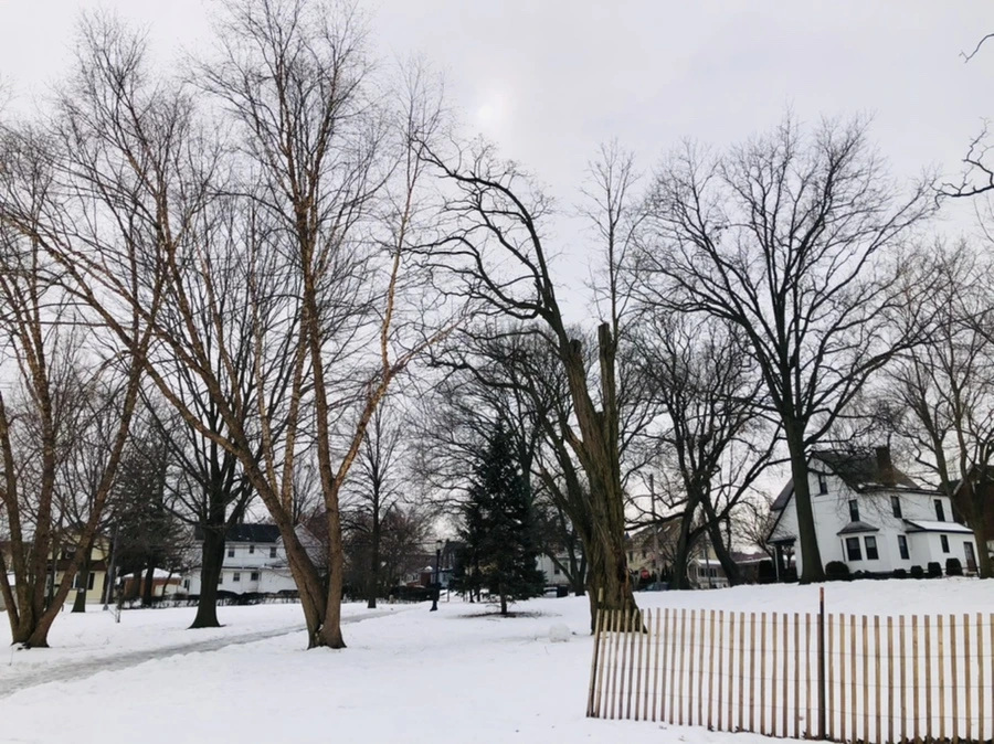 IMG_4398.jpg?type=w966