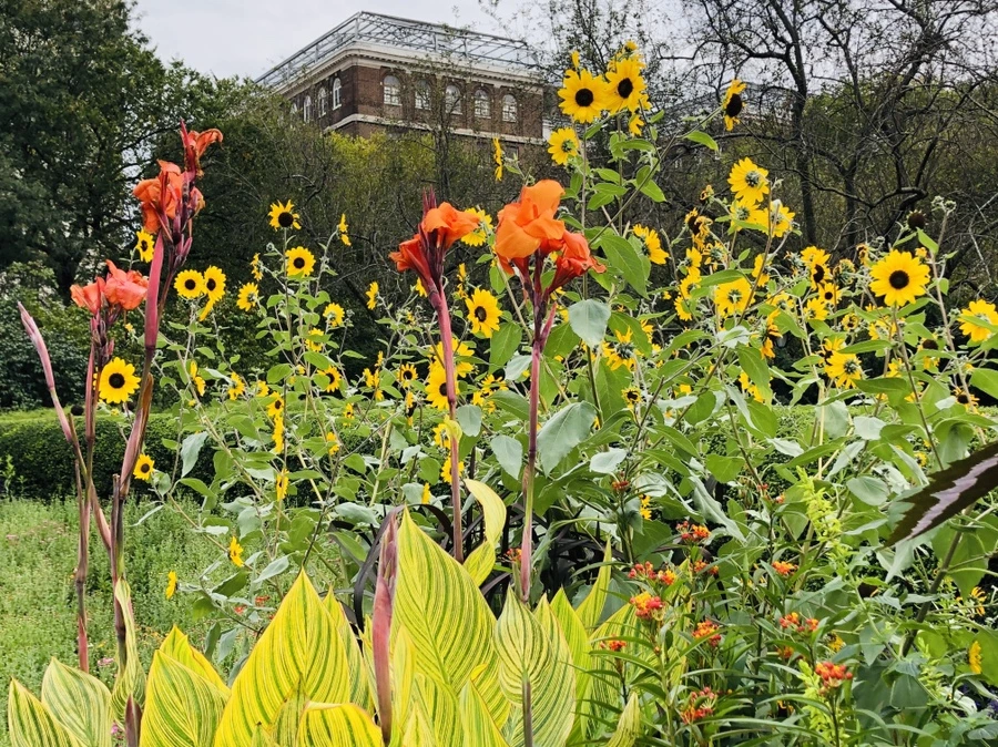 IMG_1833.jpg?type=w966