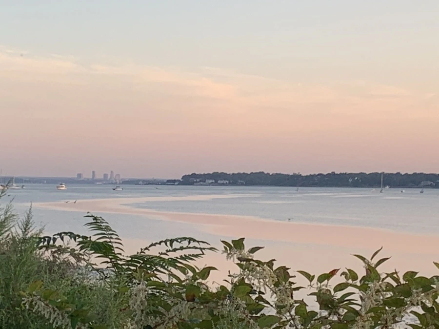 IMG_8869.jpg?type=w966