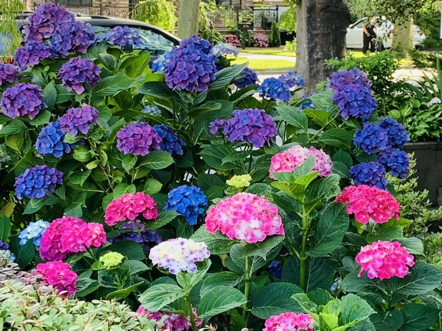 O2wpUK1RJTabEJF6_ZU6OPiRtiY