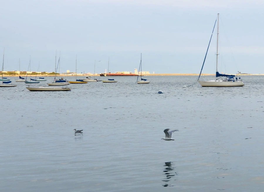 IMG_0639.jpg?type=w966