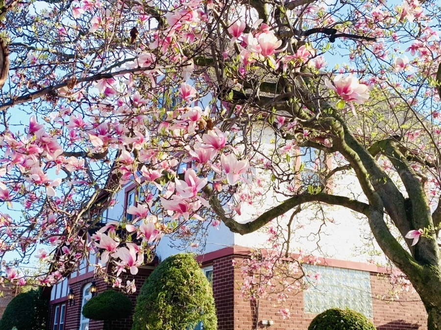 IMG_2699.jpg?type=w966