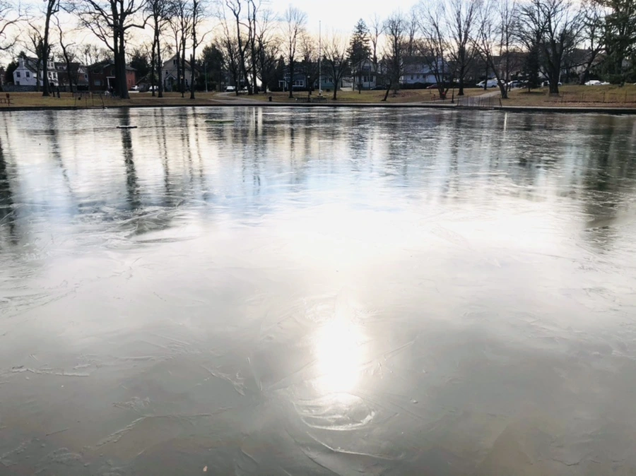 IMG_4756.jpg?type=w966