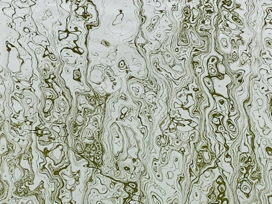 IMG_3836.jpg?type=w966