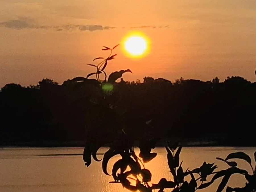 IMG_7762.jpg?type=w966