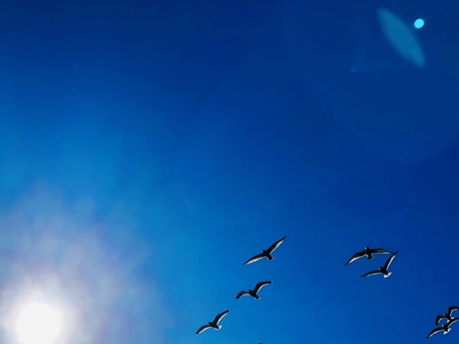 IMG_8105.jpg?type=w966