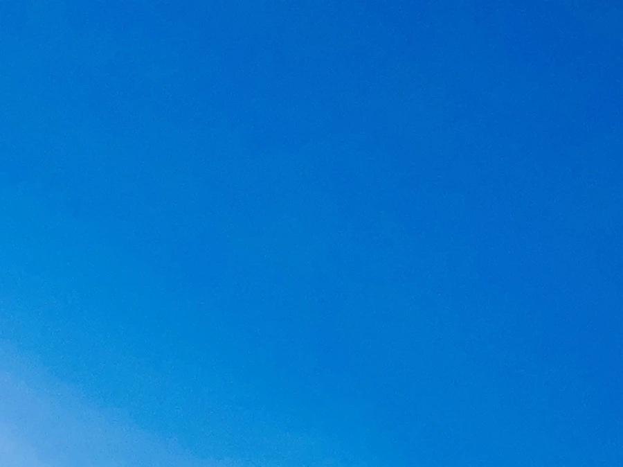 IMG_6600.jpg?type=w966