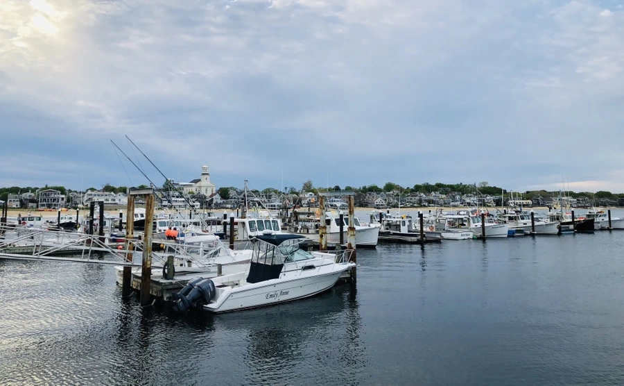 IMG_5132.jpg?type=w966