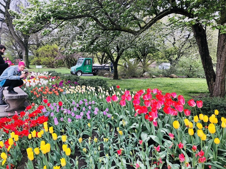 IMG_3709.jpg?type=w966