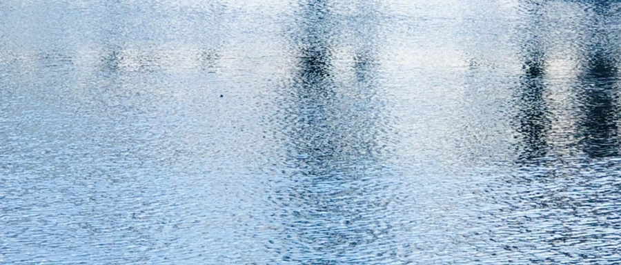 IMG_4211.jpg?type=w966