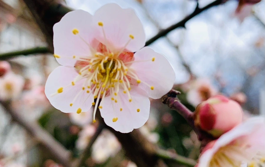 IMG_0507.jpg?type=w966