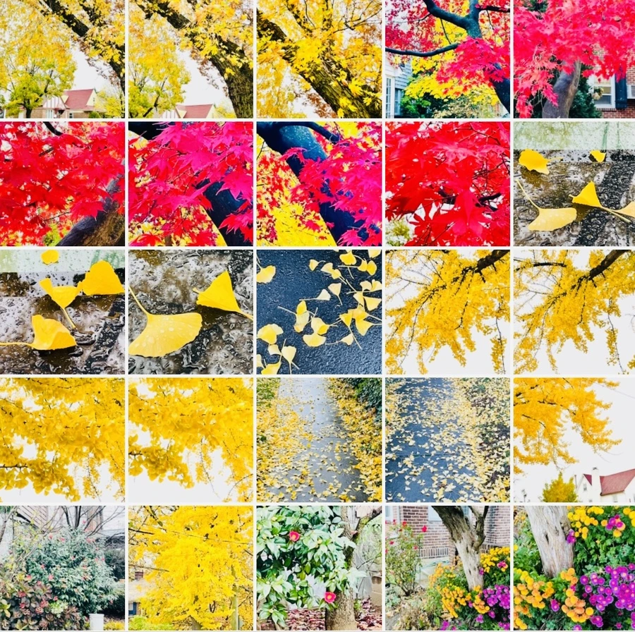 IMG_4957.jpg?type=w966