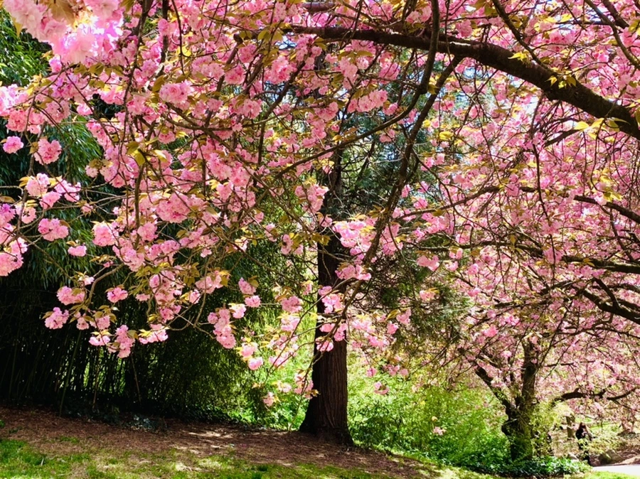 IMG_6419.jpg?type=w966