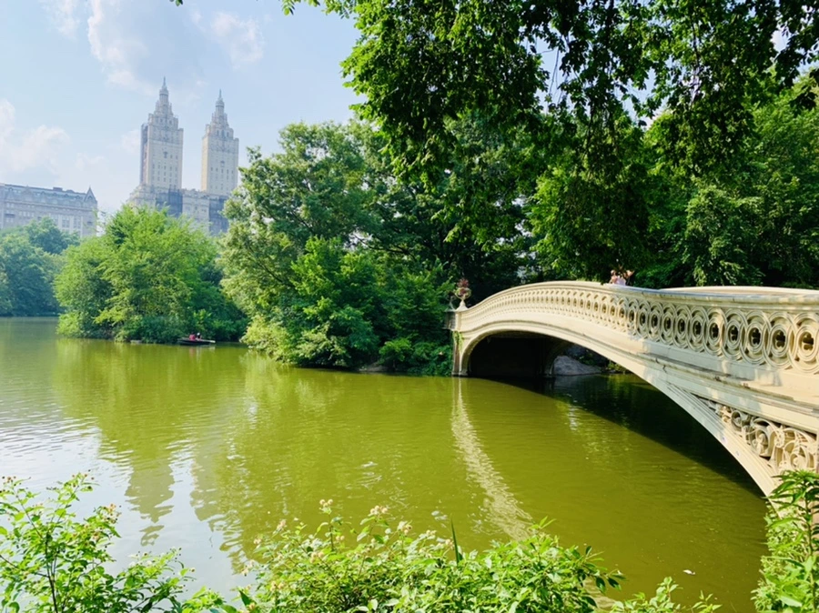 IMG_1742.jpg?type=w966