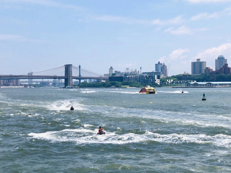 IMG_7186.jpg?type=w966