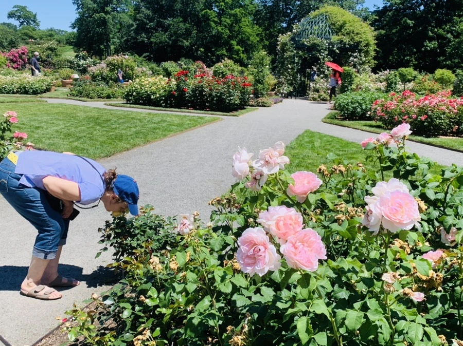 IMG_4127.jpg?type=w966