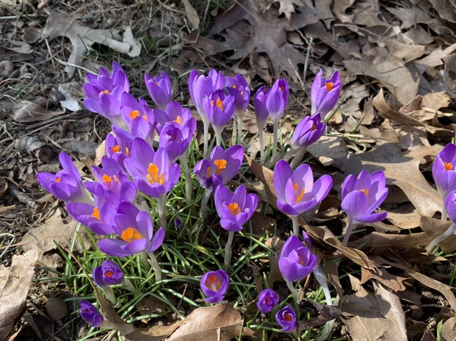 IMG_9702.jpg?type=w966