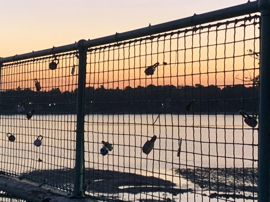 IMG_8702.jpg?type=w966