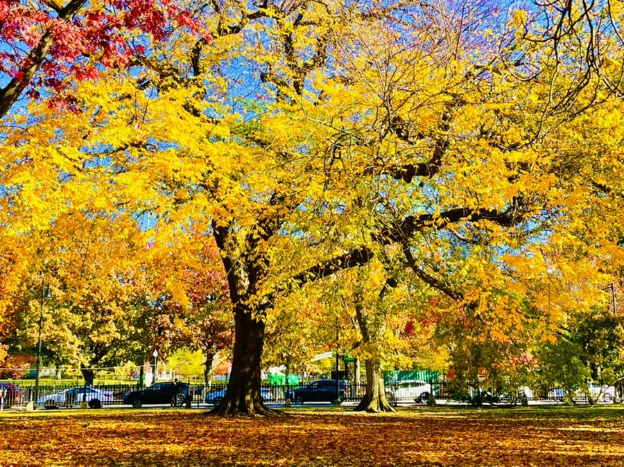 IMG_2603.jpg?type=w966