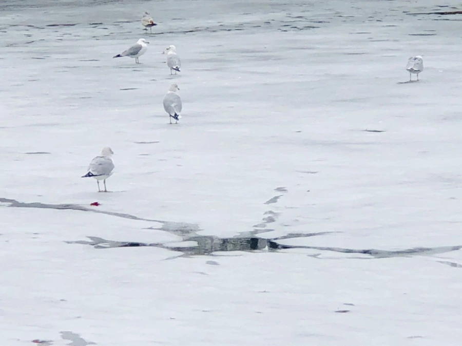 IMG_6327.jpg?type=w966