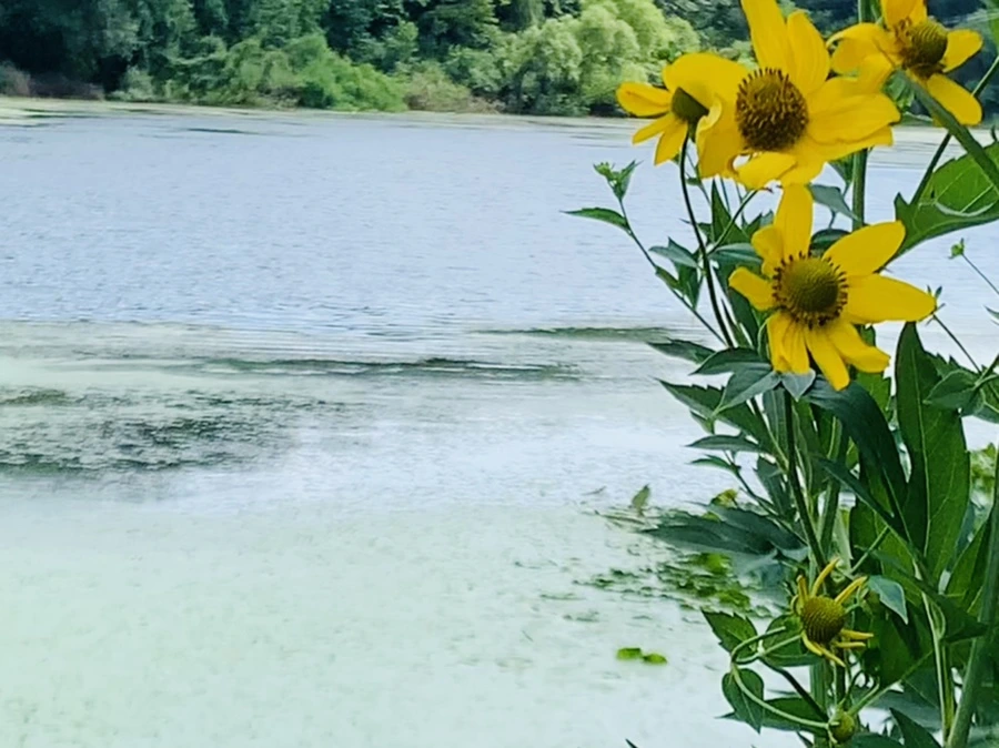 IMG_7603.jpg?type=w966