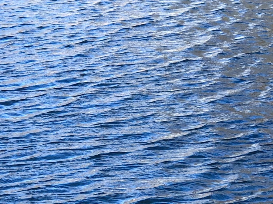 IMG_3854.jpg?type=w966