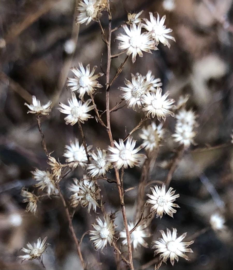 IMG_6501.jpg?type=w966