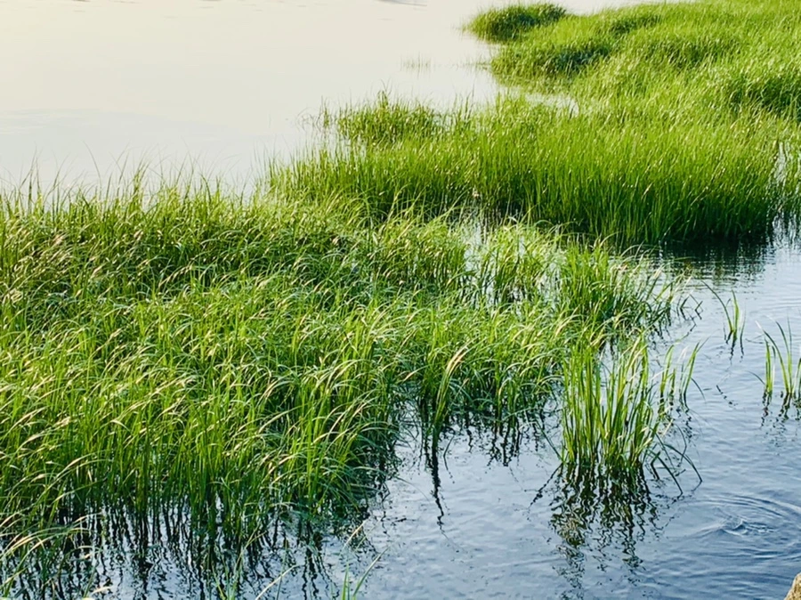 IMG_6454.jpg?type=w966