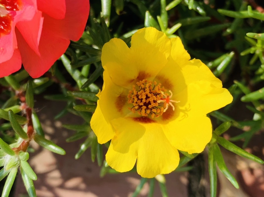 IMG_6685.jpg?type=w966