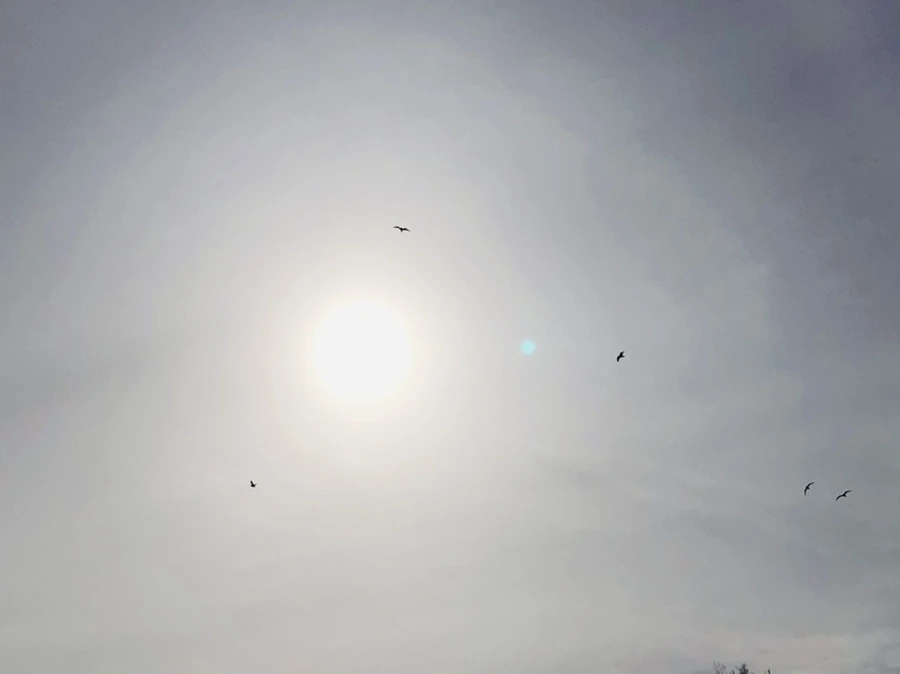 IMG_1683.jpg?type=w966