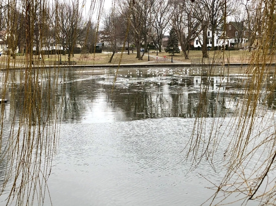 IMG_3209.jpg?type=w966