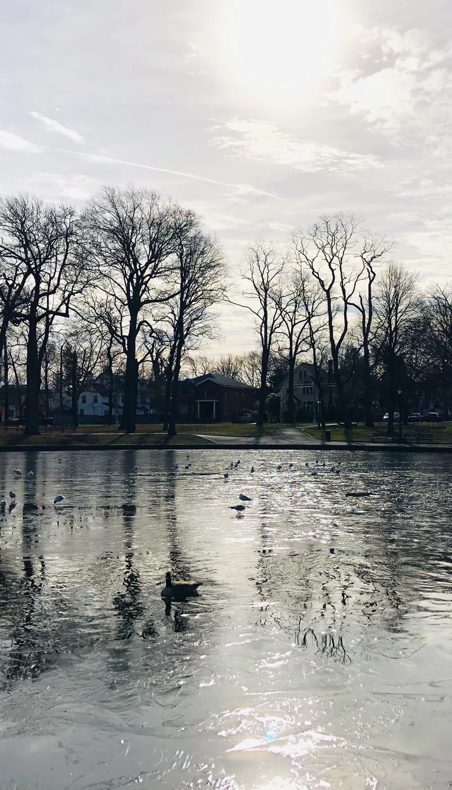 IMG_8455.jpg?type=w966