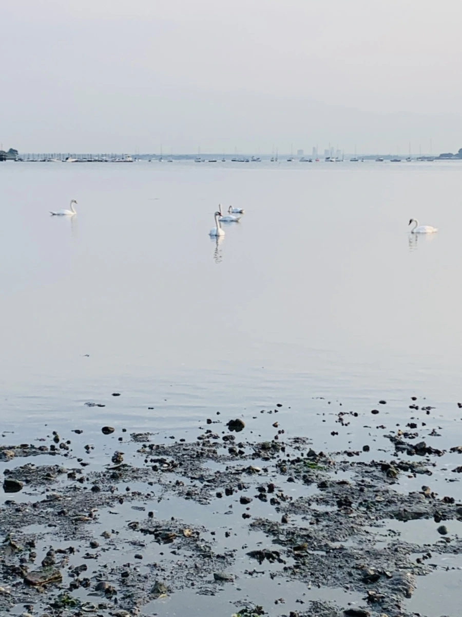 IMG_7810.jpg?type=w966