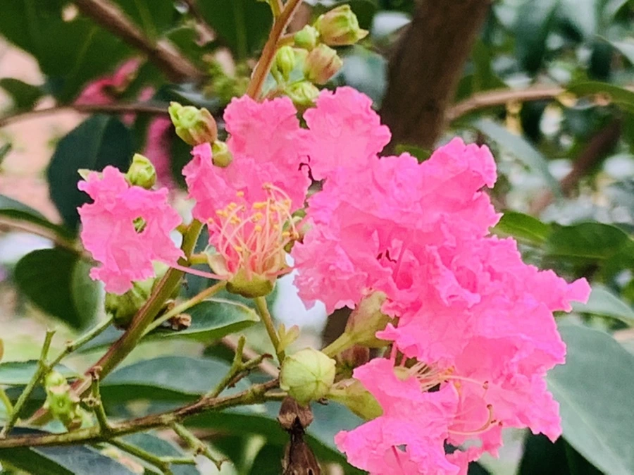 IMG_5969.jpg?type=w966