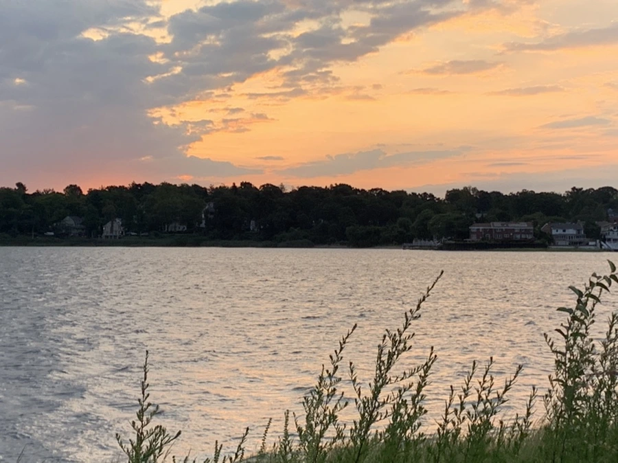 IMG_1696.jpg?type=w966