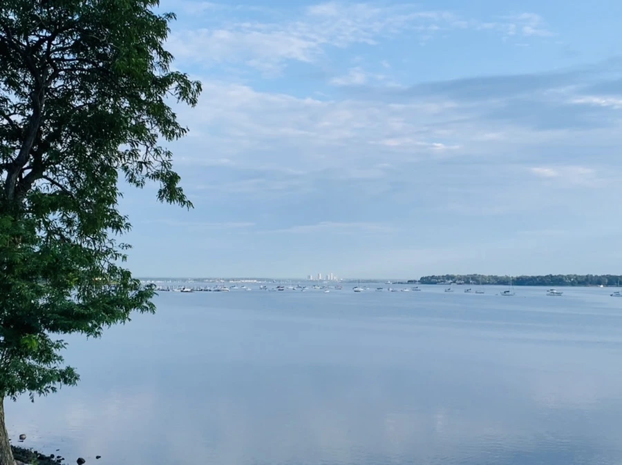 IMG_7718.jpg?type=w966