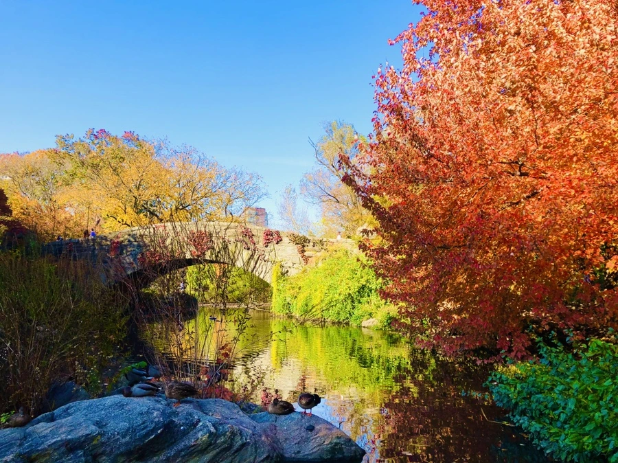 IMG_3786.jpg?type=w966