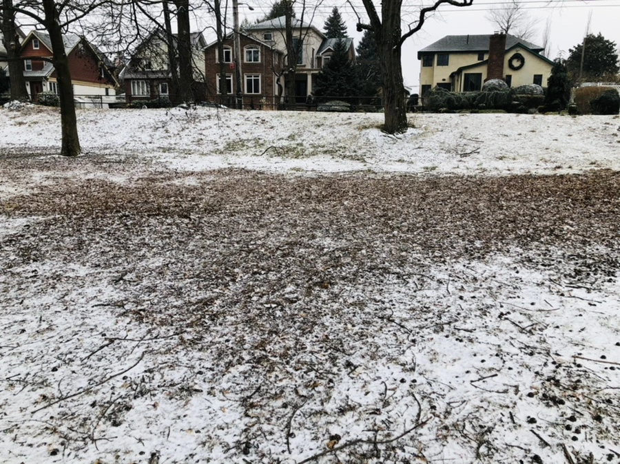 IMG_6318.jpg?type=w966