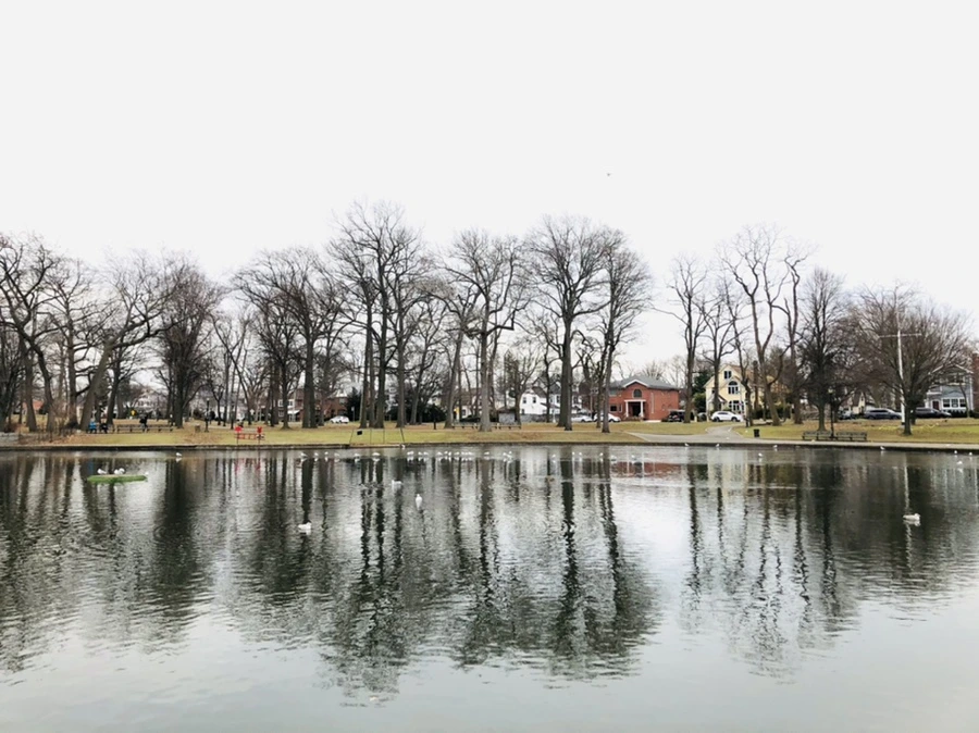 IMG_1011.jpg?type=w966