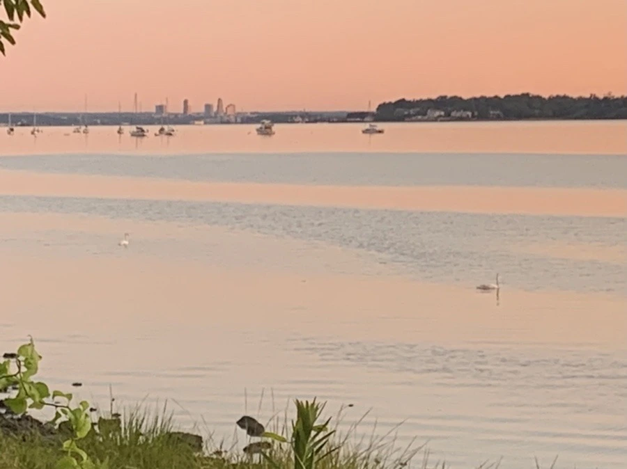 _ef5ReKWXwwMTWnLRv02wRnzeTI