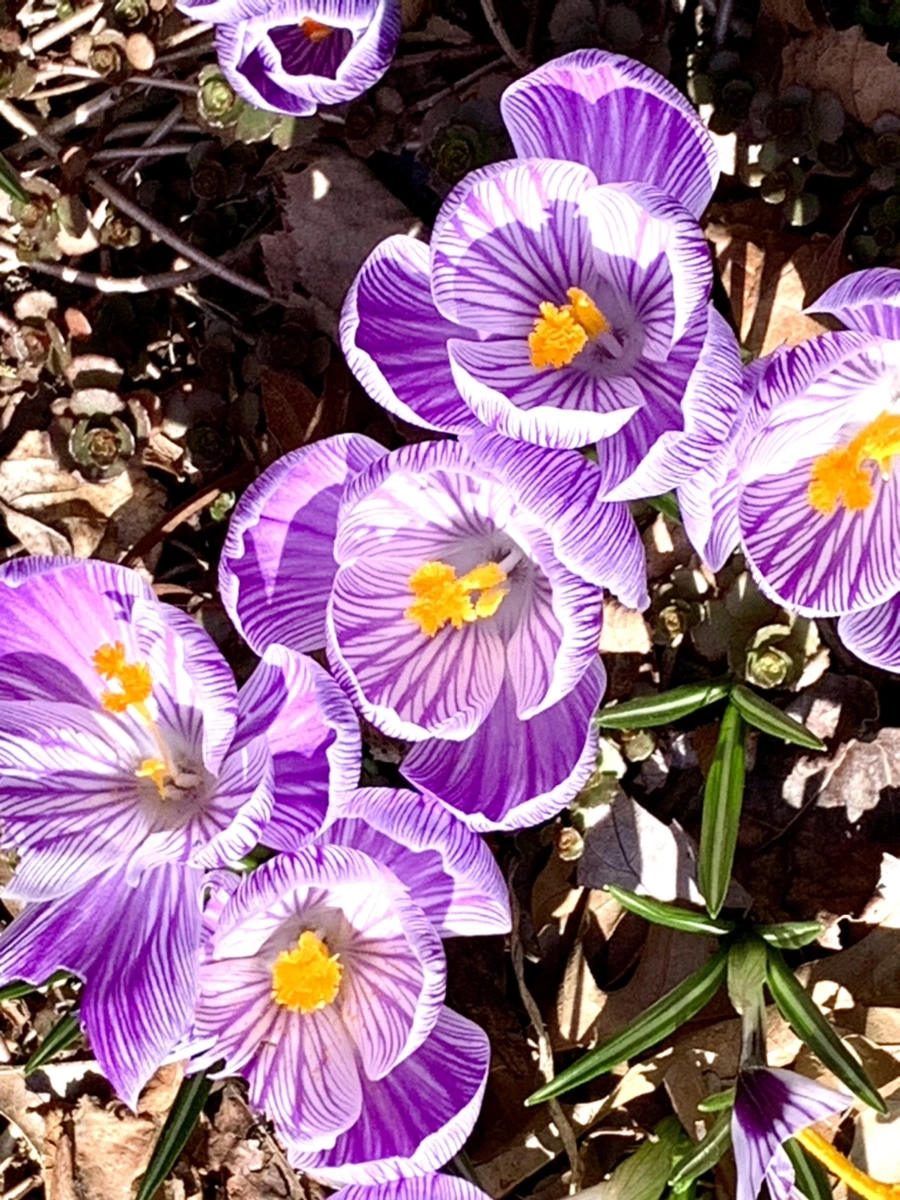 IMG_3283.jpg?type=w966