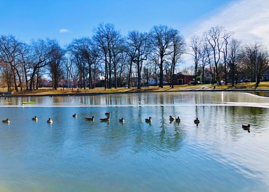 IMG_5500.jpg?type=w966