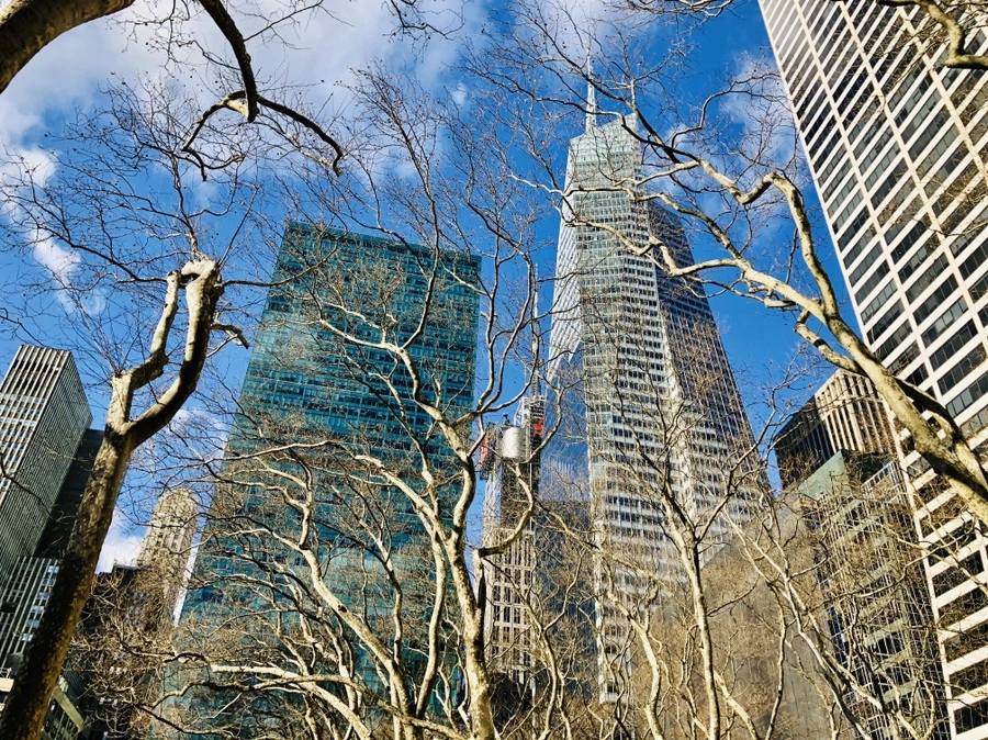 IMG_3804.jpg?type=w966