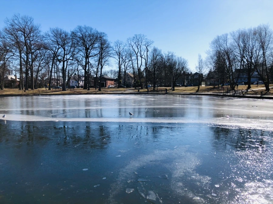 IMG_7800.jpg?type=w966