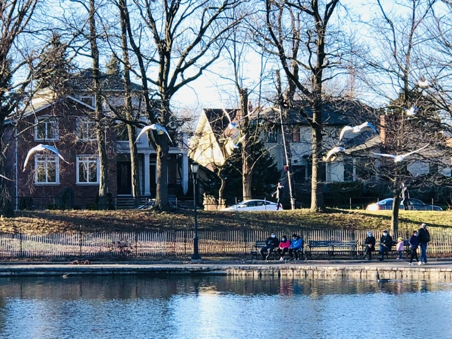 IMG_9316.jpg?type=w966