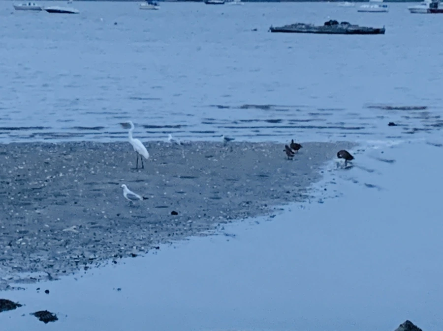 IMG_6732.jpg?type=w966