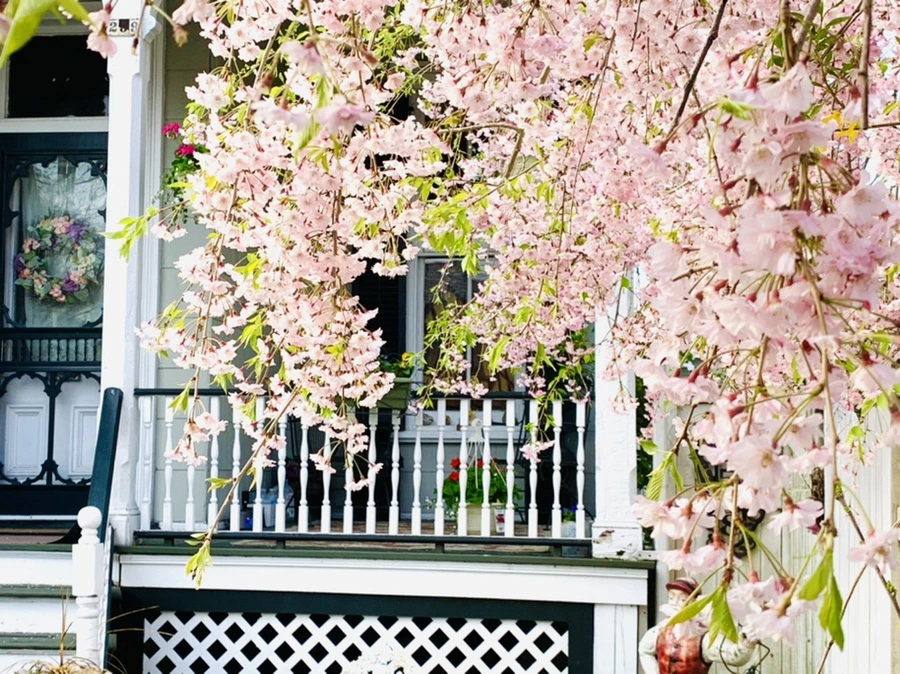 IMG_3701.jpg?type=w966